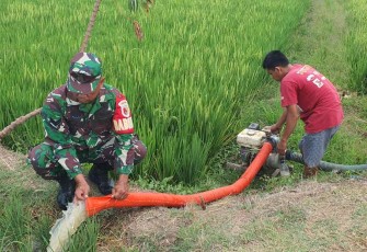 Bantu irigasi pertanian