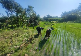 Upaya Anggota Ponorogo Sejahterakan Petani