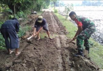Perbaiki jalan akses persawahan