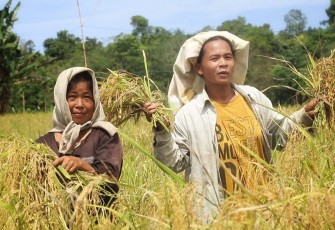 Foto : Istimewa 