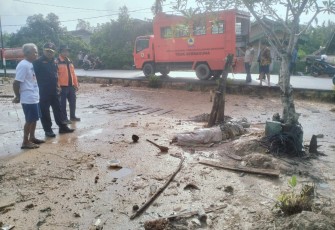 Kepala BPBD Lingga Tinjau Lokasi Penangkapan Buaya 3,6 Meter di Panggak Laut