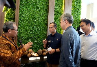 Menteri Transmigrasi Ajak Dubes Tiongkok Tinjau Sentra Kelapa, Ekosistem Ekonomi Baru Tumbuh di Halmahera Utara