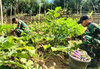 Yonarmed 12 Kostrad Wujudkan Kepedulian, Hasil Kebun Satgas Dinikmati Masyarakat Perbatasan