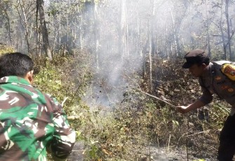 Respon Cepat Call Center 110 Polres Ngawi, Kebakaran Lahan di Bukit Gogor Sine Berhasil Dipadamkan