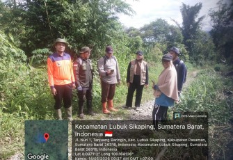 LPHN Tanjung Beringin Kawal Program RHL 70 Hektare, Penanaman Bibit Capai 60 Persen