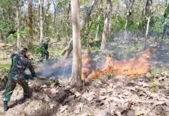 Gerak Cepat TNI, Perhutani dan Warga Padamkan Karhutla di Ngepoh, Api Berhasil Dikendalikan