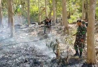 Babinsa dan Warga Gerak Cepat Padamkan Kebakaran Hutan di Pakisrejo