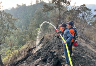 Penanganan Karhutla Berlanjut di Sejumlah Gunung Jawa Timur