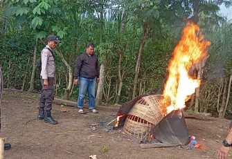 Polres Malang saat Bongkar Arena Judi Sabung Ayam di Kalipare