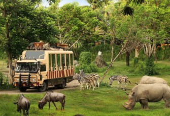 Taman Safari Indonesia Siap Dukung Transformasi Kebun Binatang Bandung sebagai Lembaga Konservasi Modern