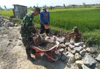 Babinsa dan Warga Rejosari Bangun Drainase Demi Sawah Lebih Produktif