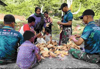 Yonarmed 12 Kostrad Panen Jagung di Perbatasan RI–RDTL