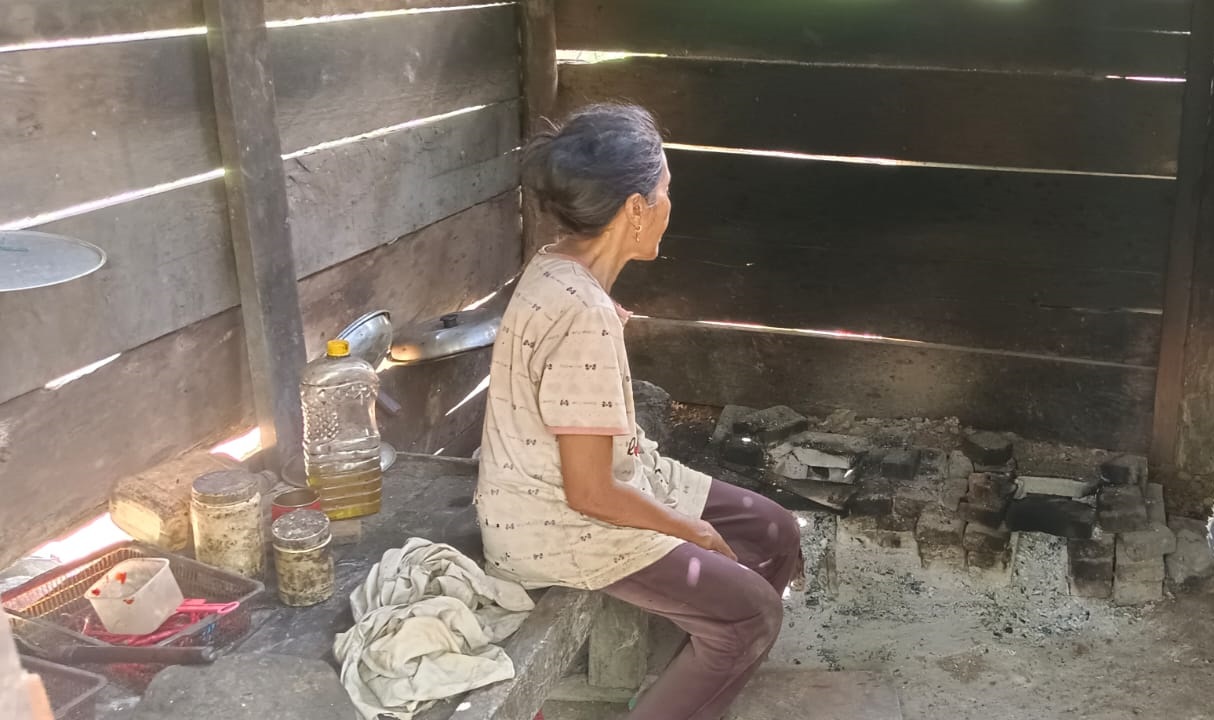 nenek kaminem