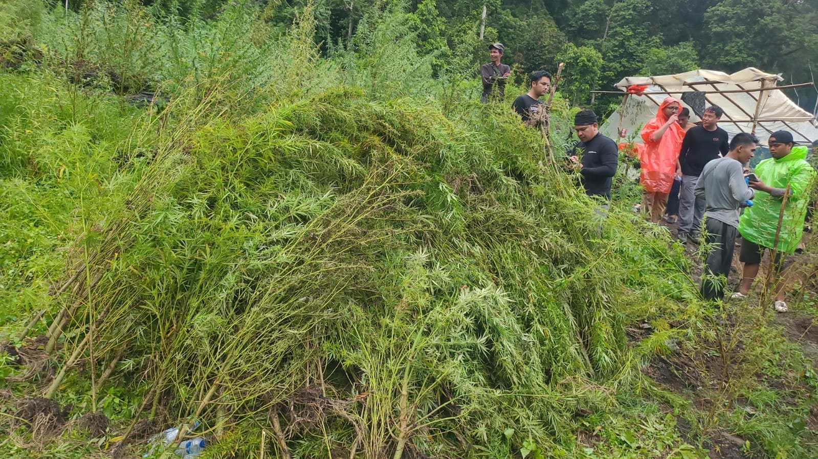 BEA CUKAI ACEH