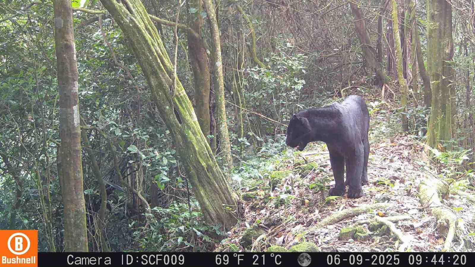 .