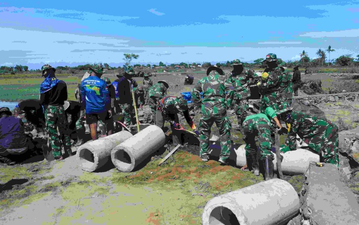 Tni