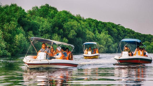 Wisata Hutan Mangrove (Sumber: Hot Liputan6)