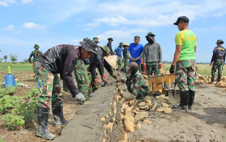 Tni