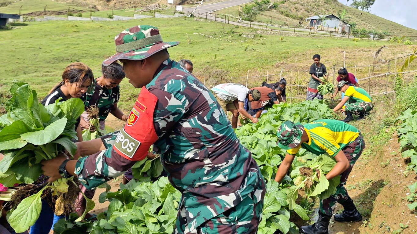 Pos Fohuk Panen Sayur di Desa Loonuna.