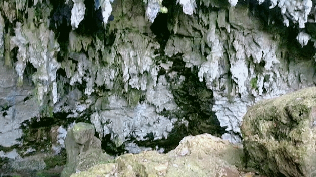 Goa Braholo