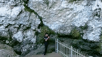 Goa Braholo