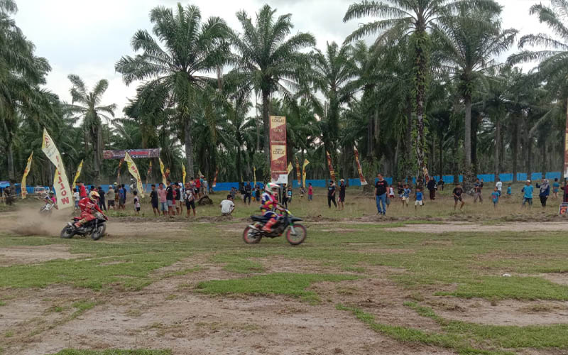 tni