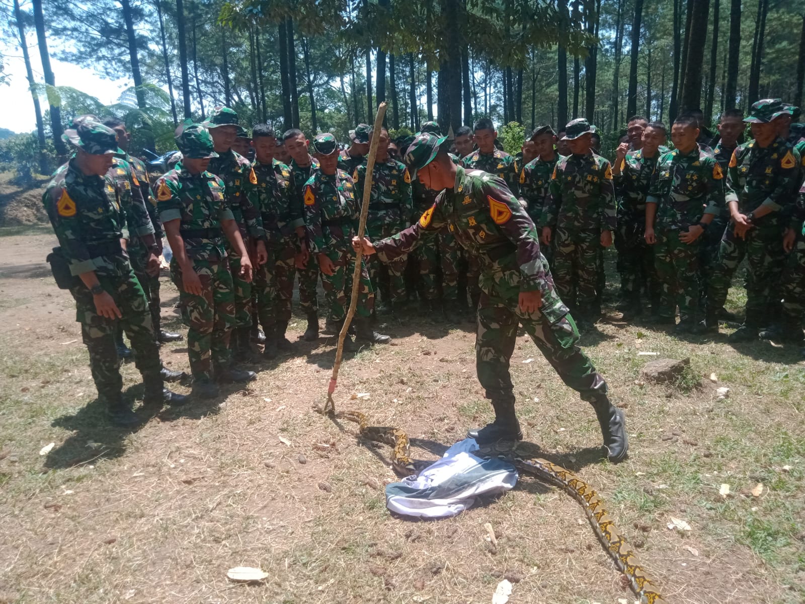 tni