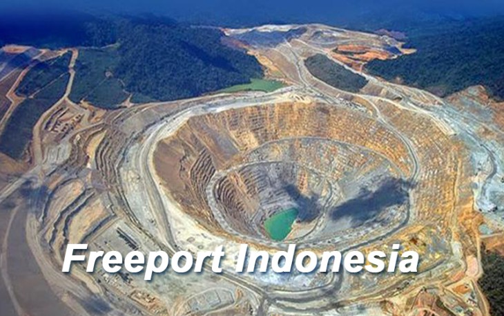 Freeport Indonesia. (Net)