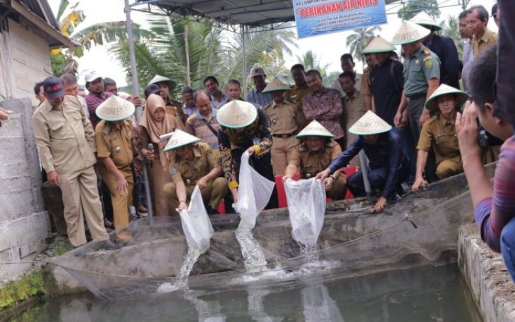 Penebaran benih ikan