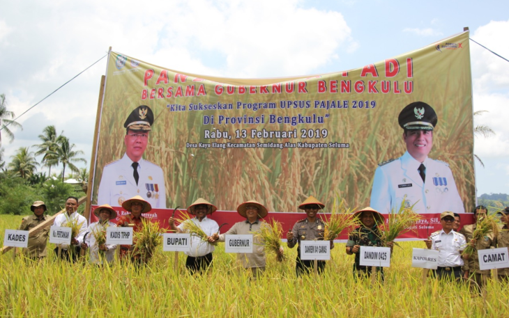 Gubernur Bengkulu Rohidin Mersyah Hadir Dalam Panen Raya di Desa Kayu Elang Kecamatan Kecamatan Semidang Alas Kabupaten Seluma