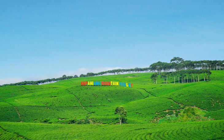 Kawasan Kebun Teh Kabawetan, Foto dok.Julian