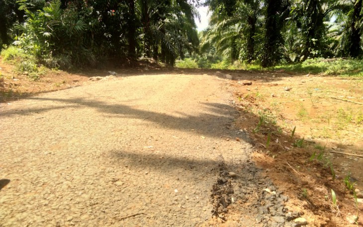 Kondisi Jalan di Beberapa Titik Mengalami Kerusakan 