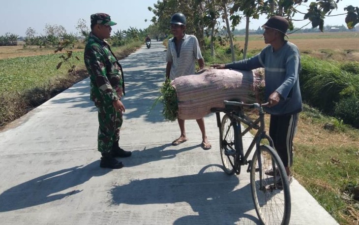 Angkut Hasil Pertanian Lancar