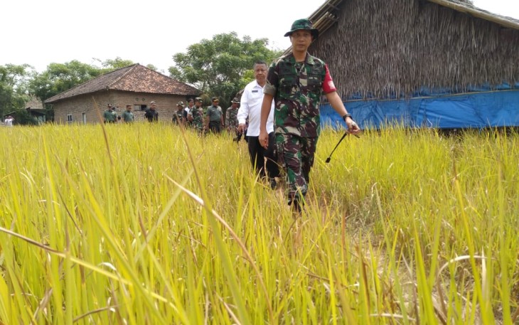 Dandim Tigaraksa lakukan blusukan cek hasil kerja TMMD Kronjo