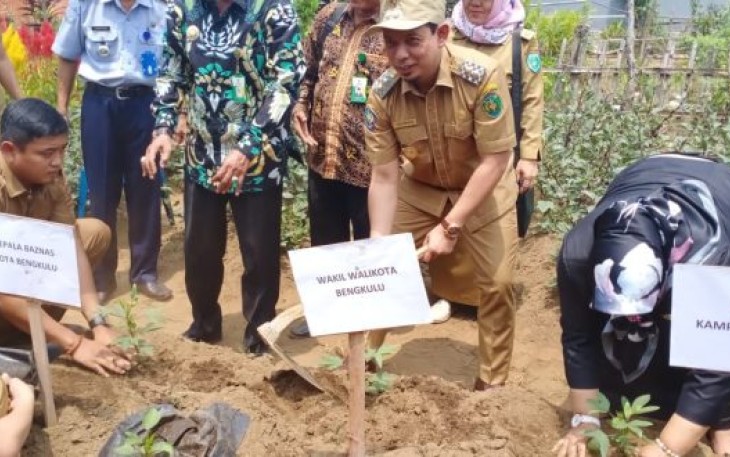 Wakil Wali Kota Bengkulu Dedy Wahyudi Kunjungi Kampung Tematik 