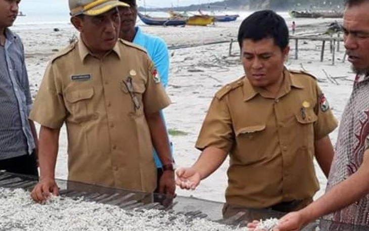 Kepala Dinas Kelautan Perikanan Kabupaten Mukomuko Eddy Aprianto