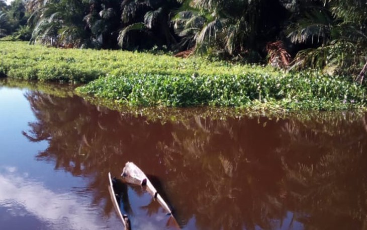 Kondisi Sungai Bubon tampak eceng gondok tumbuh subur disepanjang aliran sungai