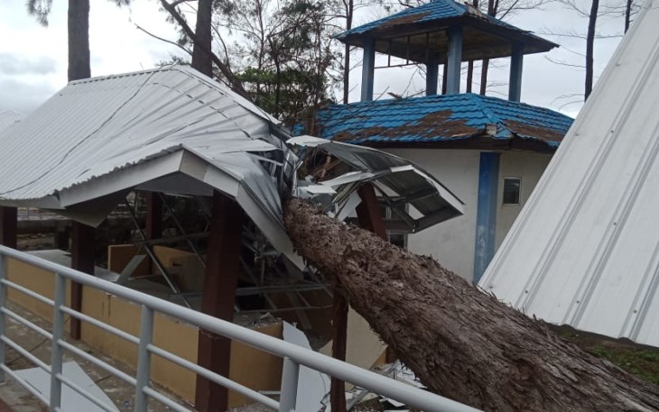 Pohon tumbang timpa sejumlah bangunan 