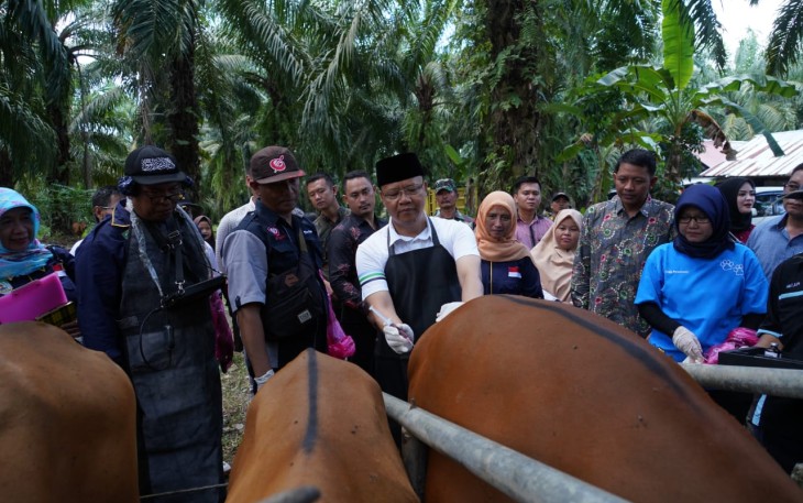 Gubernur Rohidin Turun Langsung Beri Penyuluhan Masyarakat Mukomuko Tangani Kesehatan Hewan