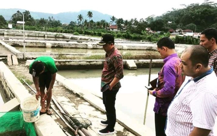 Bupati Lampung Barat H Parosil Mabsus Tinjau Ketersediaan Benih Ikan di Balai Benih Ikan Kecamatan Sumber Jaya 