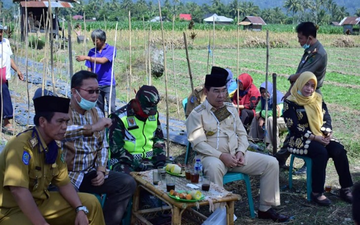 Bupati Rejang Lebong Ahmad Hijazi Melakukan Vidio Conference Dengan Menteri Pertanian Republik Indonesia Syahrul Yasin Limpo Dilokasi Persawahan 