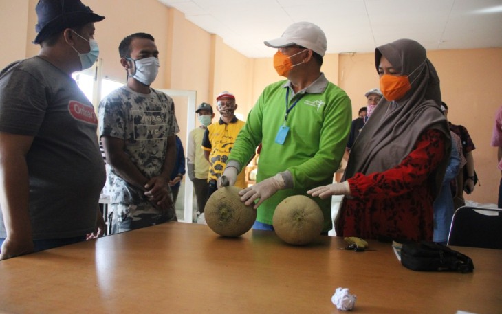 Petani Melon dan Tim Tenaga Medis Covid-19 Sampaikan Terima Kasih
