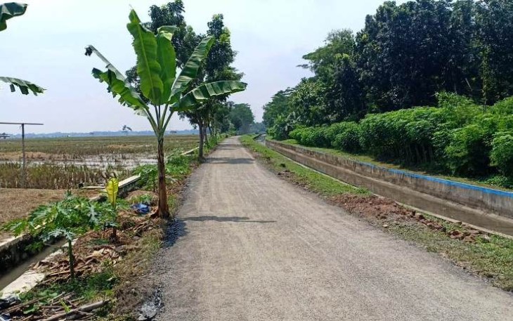 Jalan Ruas Pepedan-Jlubang Pantirejo Tuntas Diaspal TMMD Reguler Pekalongan