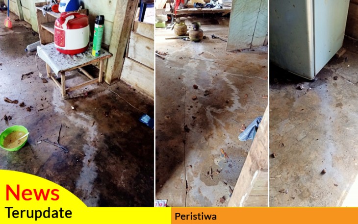 Diduga Bekas Sambaran Petir (Lichtenberg)