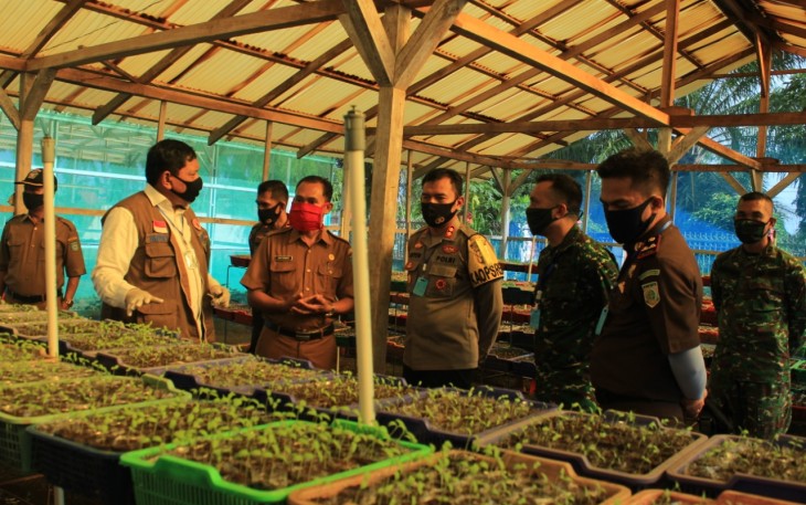 Bupati Bengkulu Utara Mian Saat Meninjau Bibit Sayur 