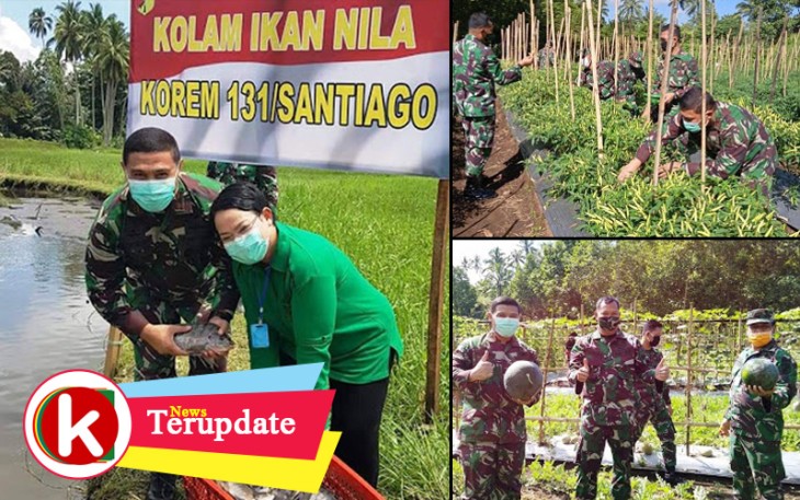 Danrem 131/Santiago Panen Perdana Demplot Hanpangan Kodim 1310/Bitung