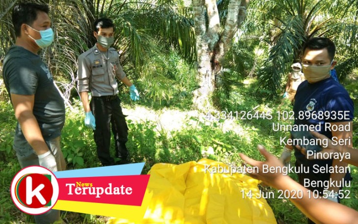 Polisi saat Evakuasi Jasad Perempuan Terjepit Pohon Nangka di Bengkulu Selatan