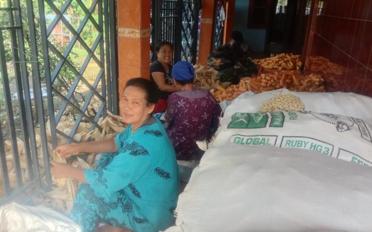 Panen Jagung Saat TMMD