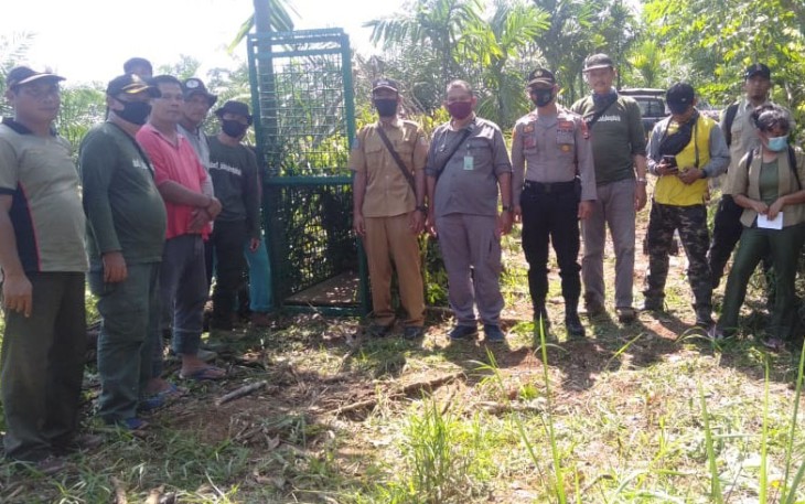 Polisi Bersama BKSDA Pasang Perangkap Buru Harimau