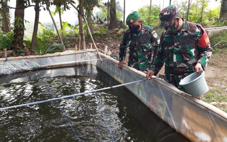 Danramil 1905/Jatiluhur Kapten Inf Gunawan di Lokasi Pembiakan Ikan di Halaman Belakang Makoramil 1905/Jatiluhur